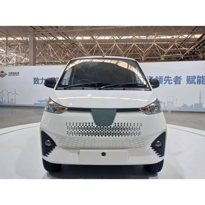 អ្វី​ទៅ​ជា Electric Mini Van?